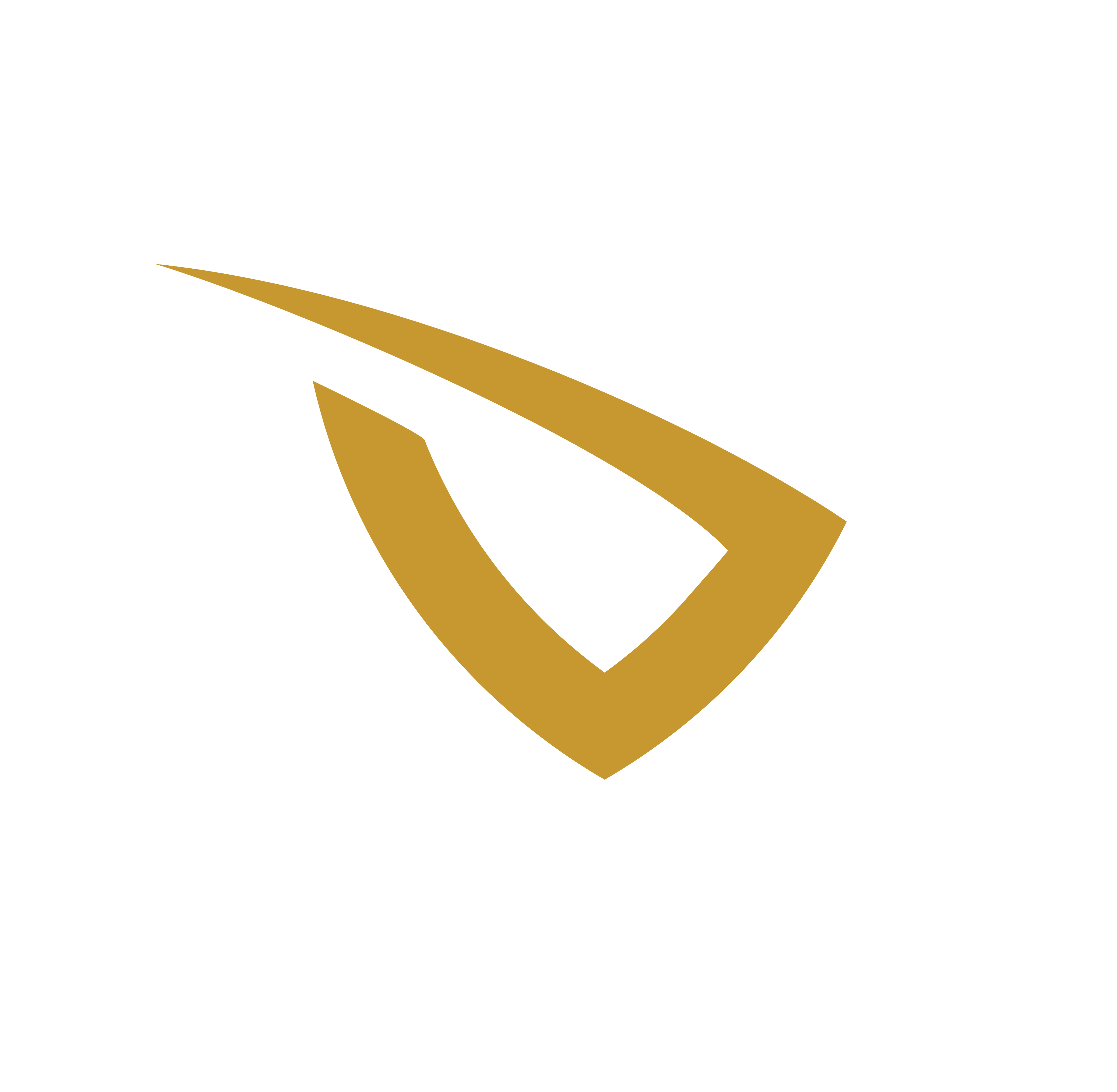 Specialist SRT logo featuring a stylized shield design with a white 'S' shape integrated into the upper section and a gold curved element below. The text 'SPECIALIST SRT' is displayed beneath the shield on a black background, representing a professional security branding.